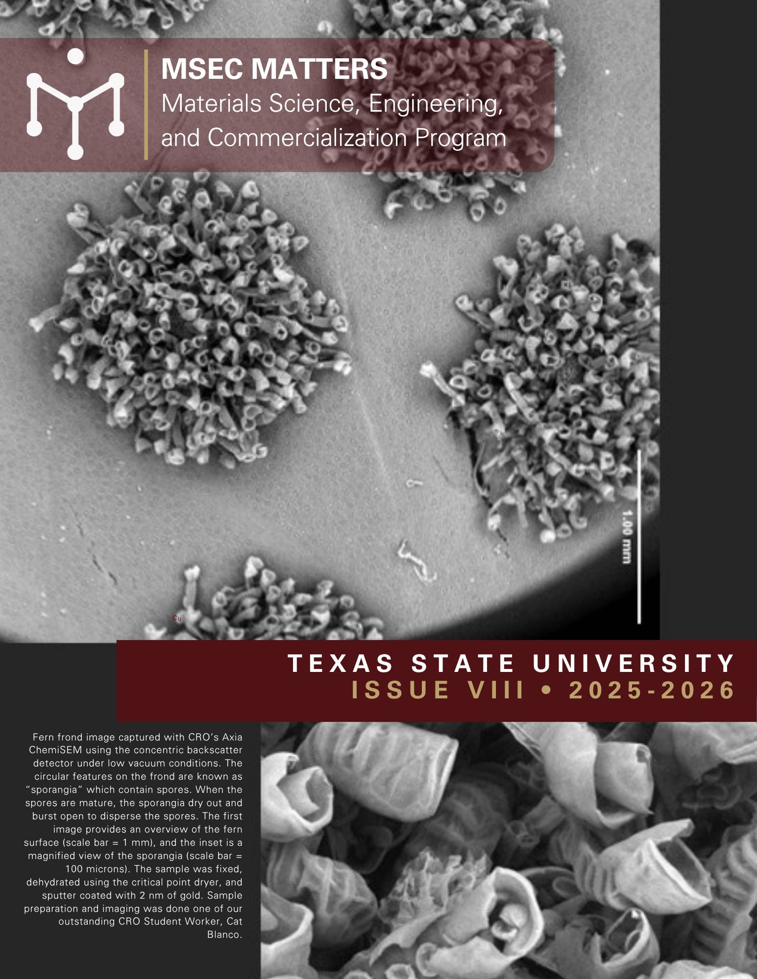 Newsletter cover page with photo of solder ball