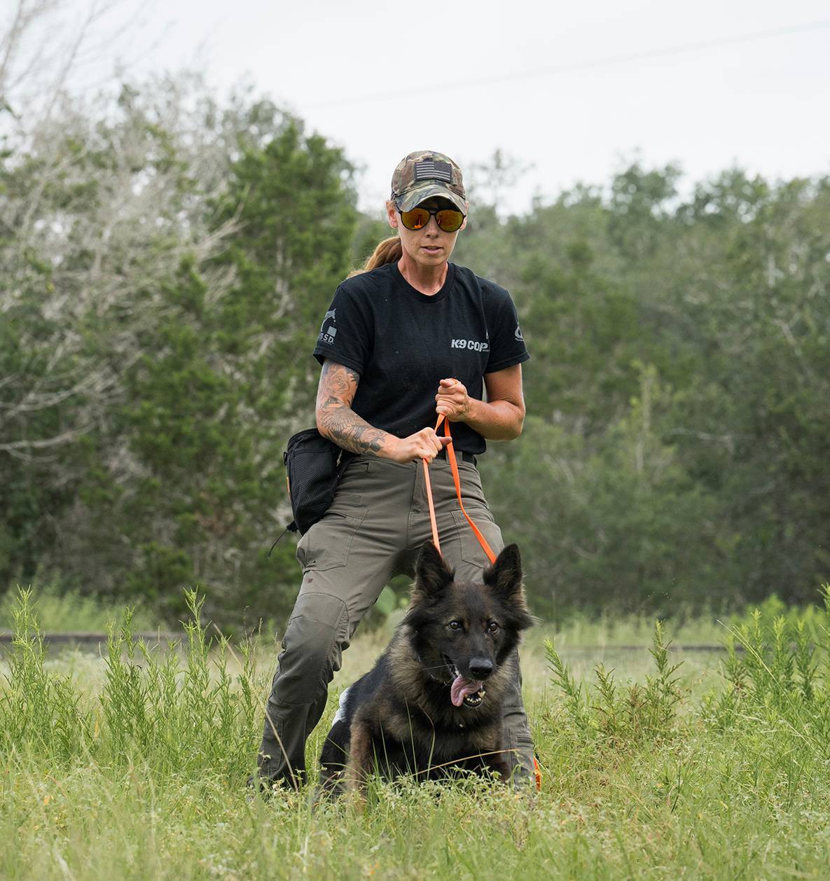 wrangler handles a german shepard in a grassy field