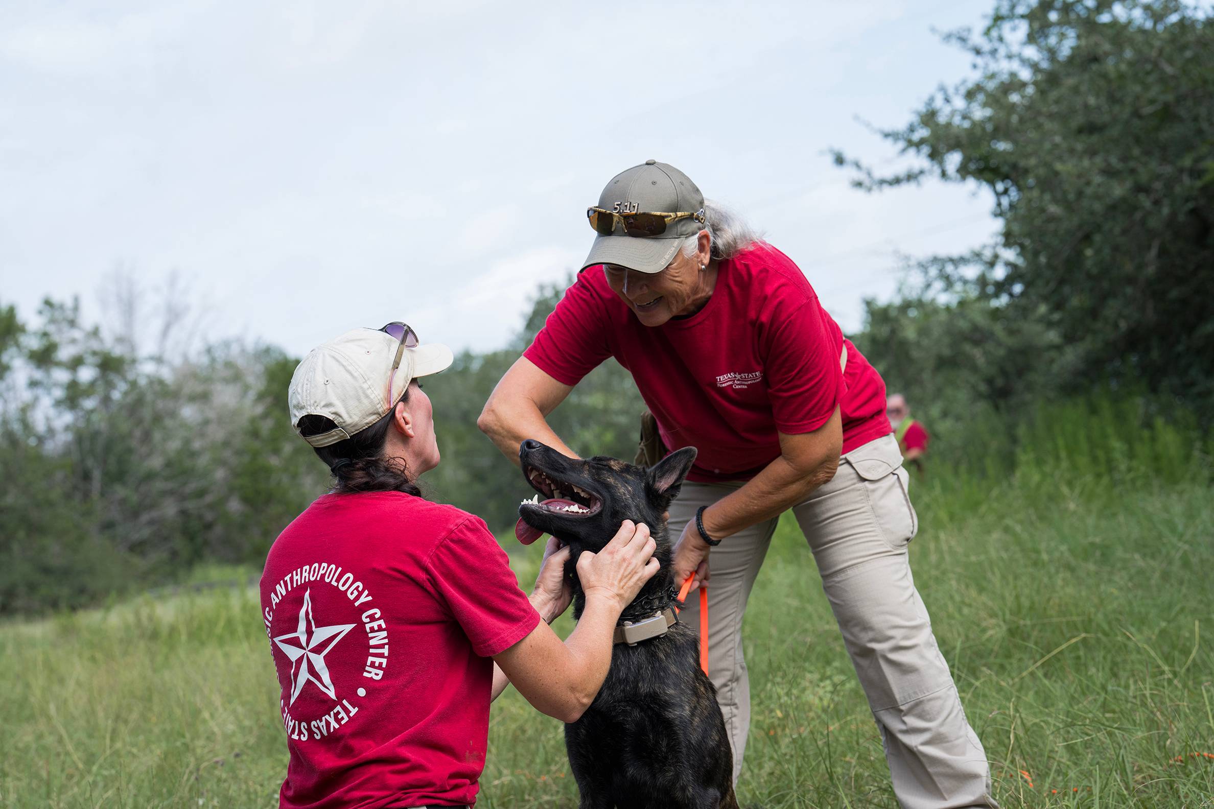 Two handlers interact with a German Shepherd-Malinois mix during outdoor search-and-rescue dog training.