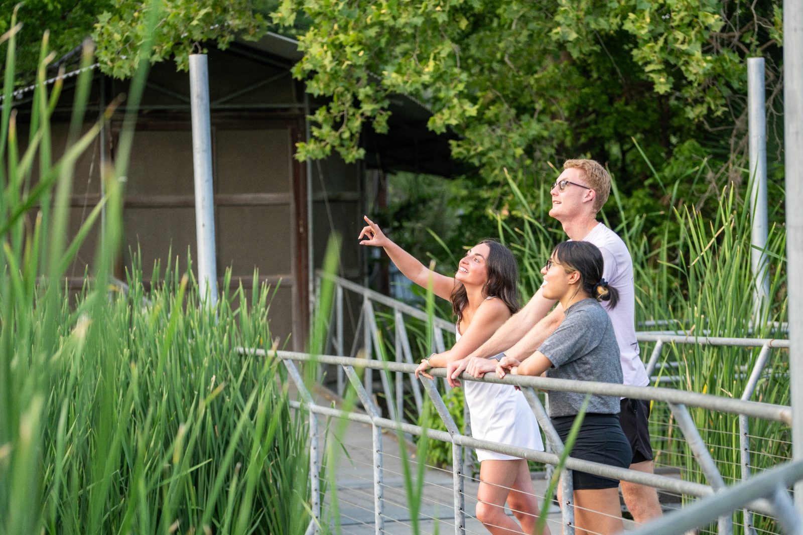 Students outside in nature