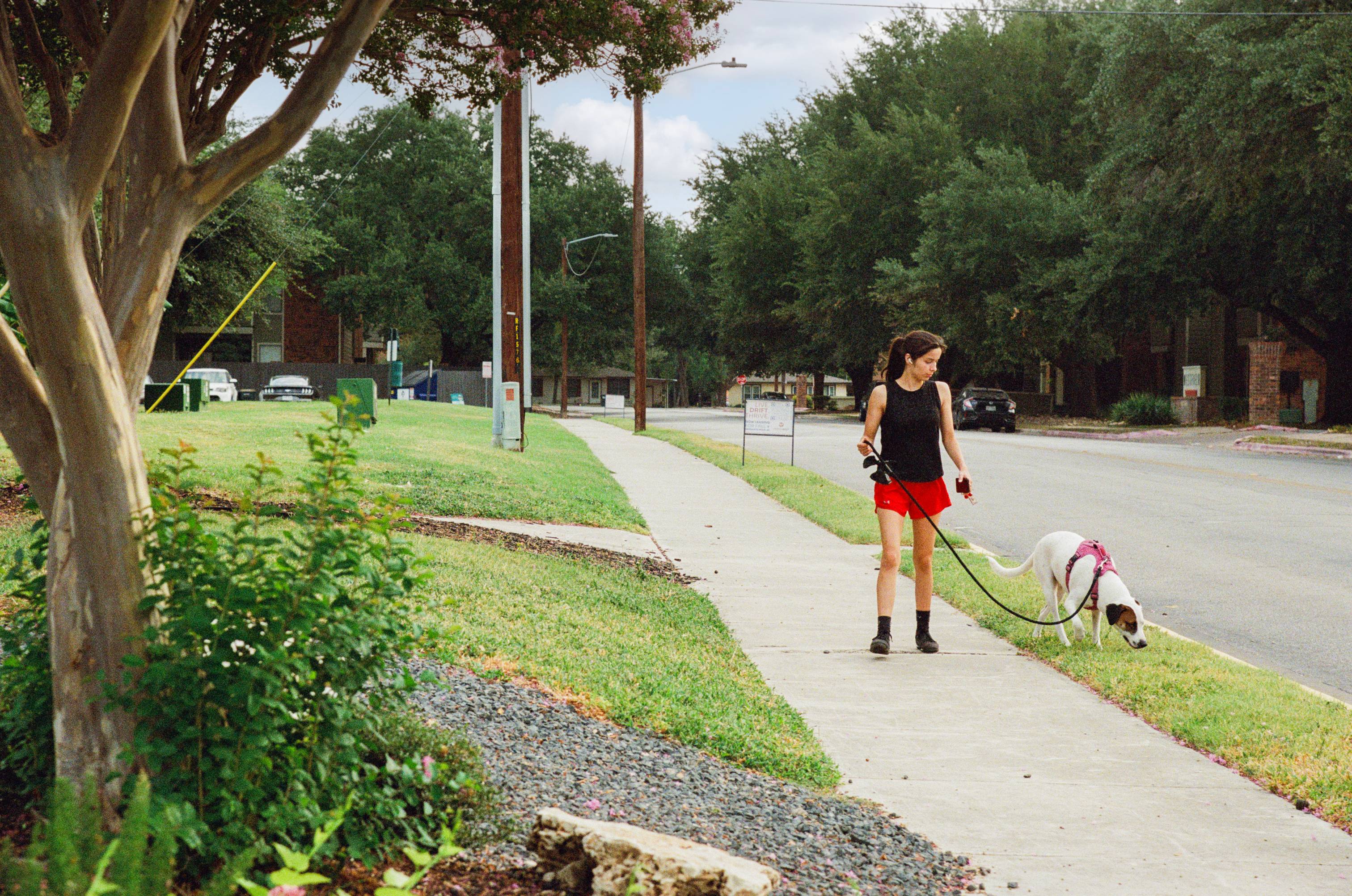 Woman is walking her white and brown medium-sized dog on sidewalk near street