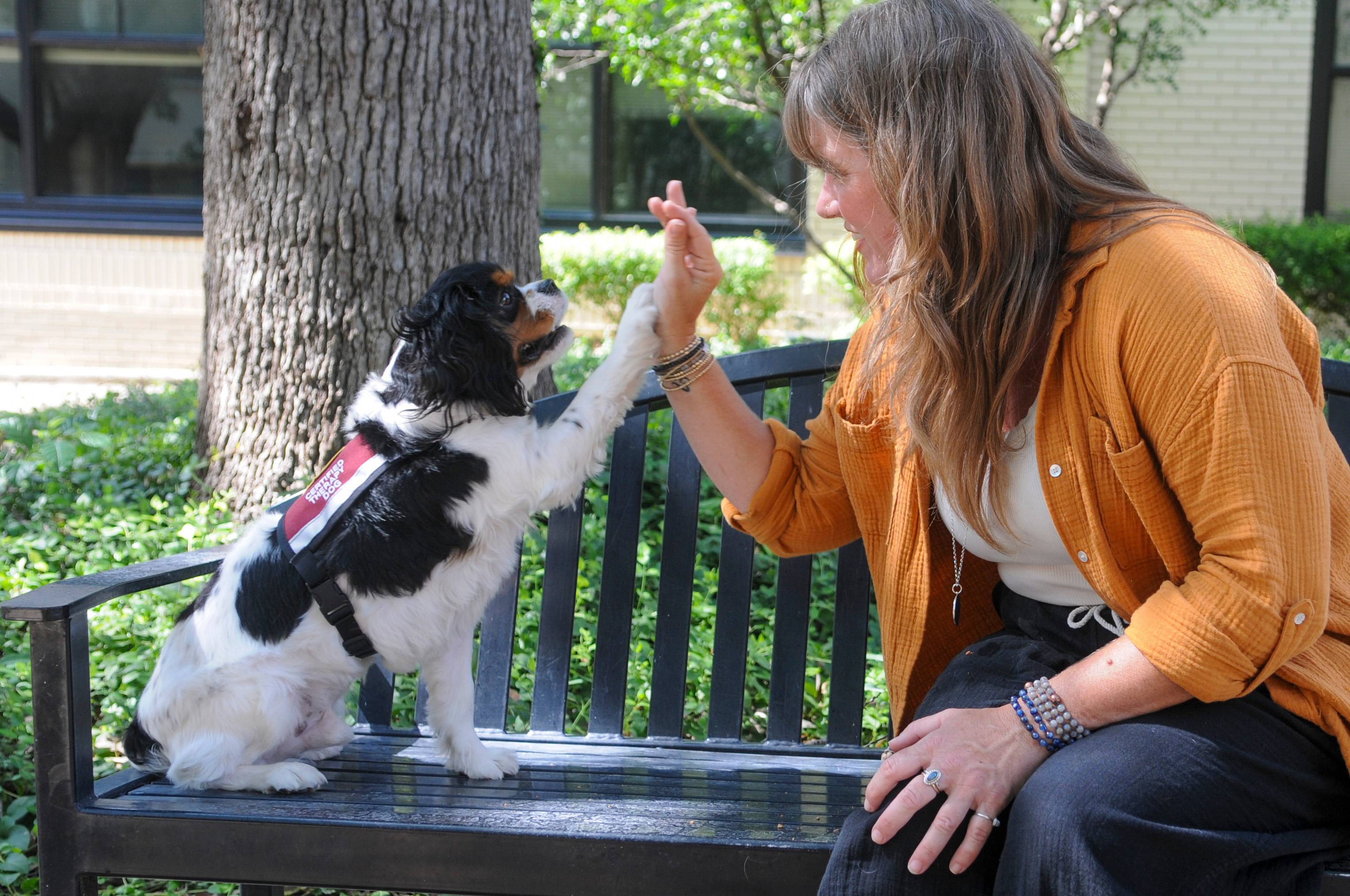 AAC Team - Cassandra and Charley