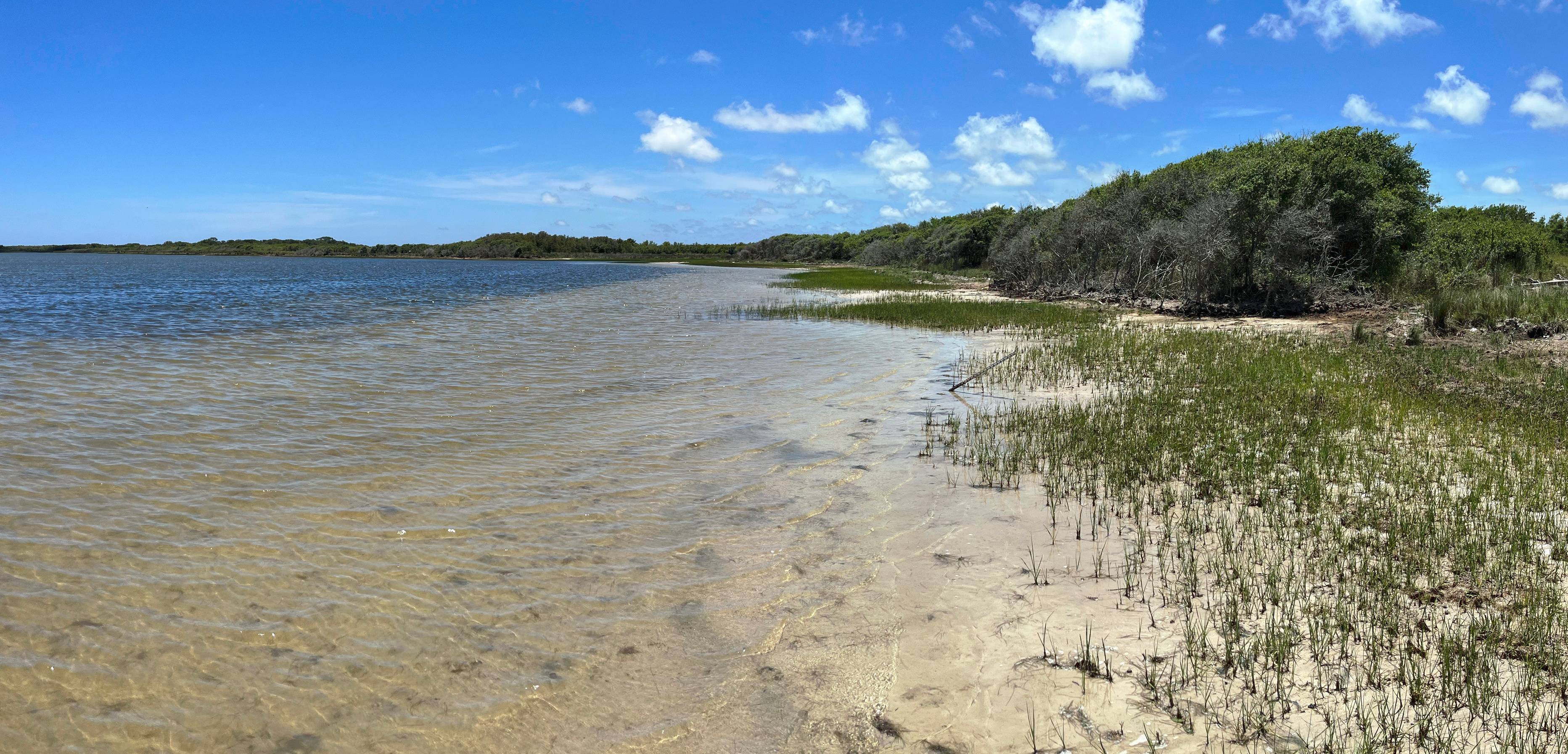 Image of a beach