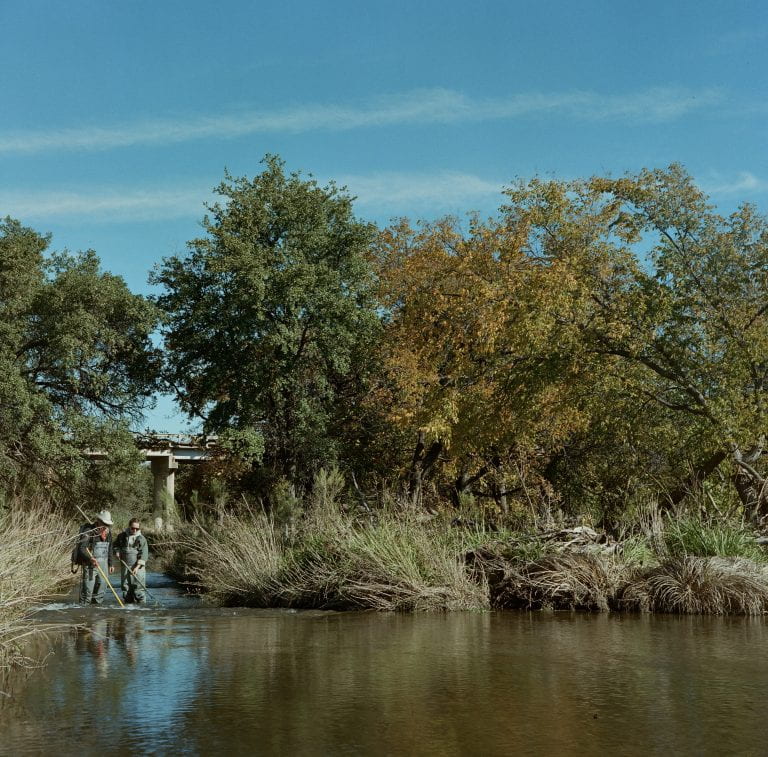An image of a freshwater lake