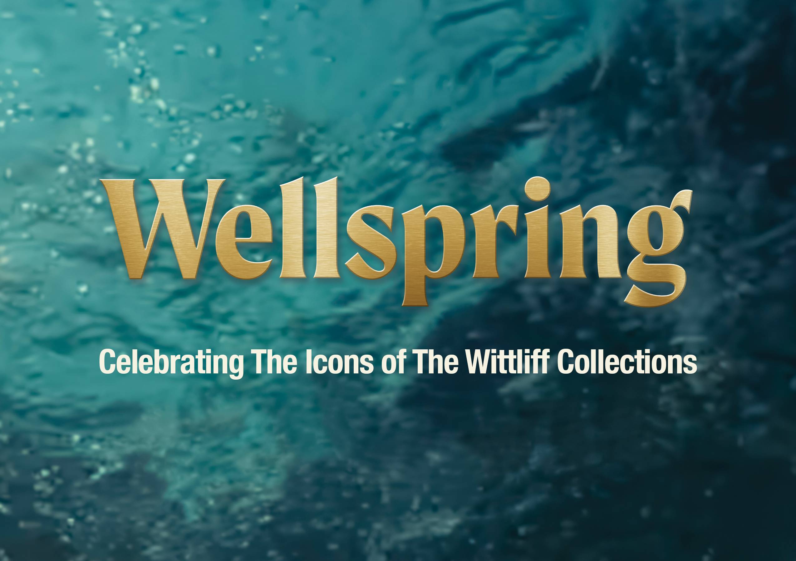 wellspring logo