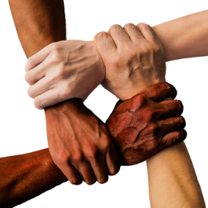 4 hands interlocked, grabbing each other by the wrist to form a symbol of unity